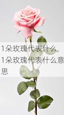 1朵玫瑰代表什么,1朵玫瑰代表什么意思-第2张图片-花卉百科