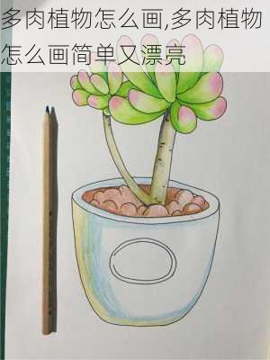 多肉植物怎么画,多肉植物怎么画简单又漂亮