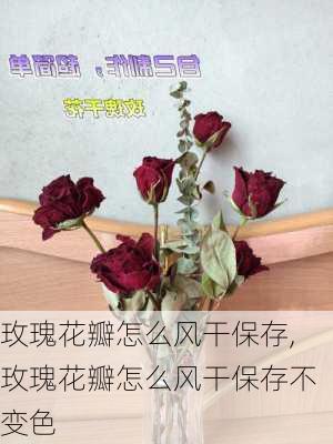 玫瑰花瓣怎么风干保存,玫瑰花瓣怎么风干保存不变色