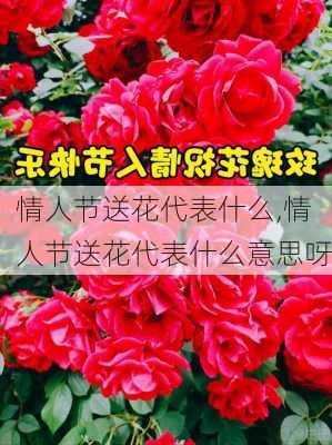 情人节送花代表什么,情人节送花代表什么意思呀-第1张图片-花卉百科