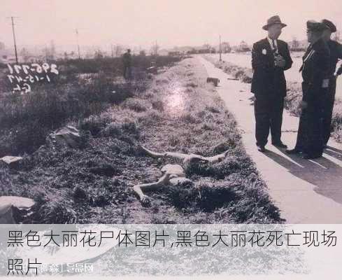 黑色大丽花尸体图片,黑色大丽花死亡现场照片