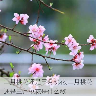 二月桃花还是三月桃花,二月桃花还是三月桃花是什么歌