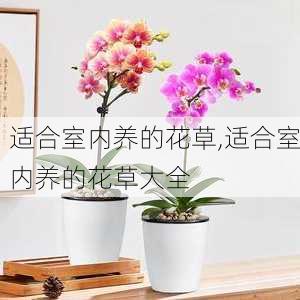 适合室内养的花草,适合室内养的花草大全-第1张图片-花卉百科