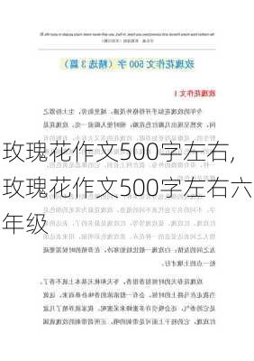 玫瑰花作文500字左右,玫瑰花作文500字左右六年级-第2张图片-花卉百科