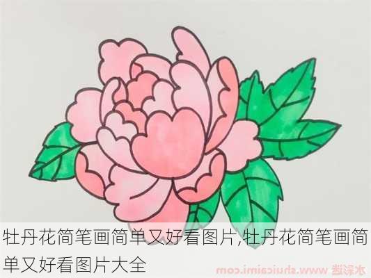 牡丹花简笔画简单又好看图片,牡丹花简笔画简单又好看图片大全-第2张图片-花卉百科