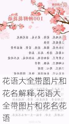 花语大全带图片和花名解释,花语大全带图片和花名花语