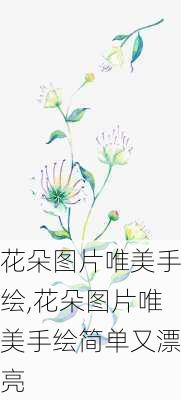 花朵图片唯美手绘,花朵图片唯美手绘简单又漂亮