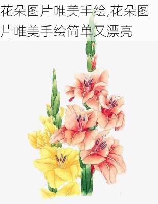 花朵图片唯美手绘,花朵图片唯美手绘简单又漂亮-第3张图片-花卉百科