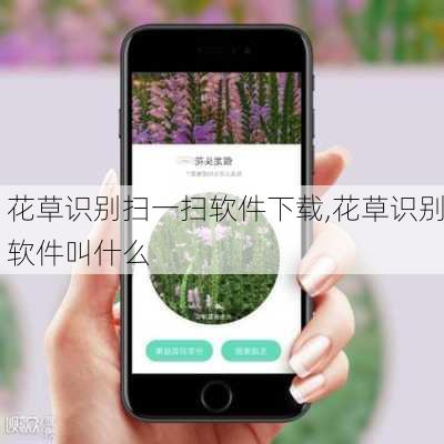 花草识别扫一扫软件下载,花草识别软件叫什么