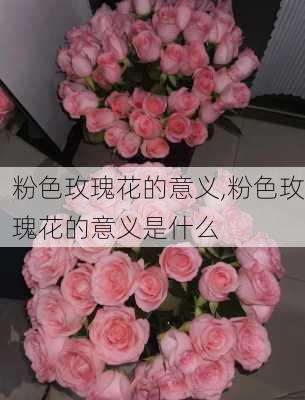 粉色玫瑰花的意义,粉色玫瑰花的意义是什么