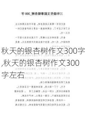 秋天的银杏树作文300字,秋天的银杏树作文300字左右