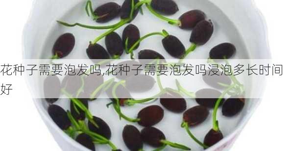 花种子需要泡发吗,花种子需要泡发吗浸泡多长时间好