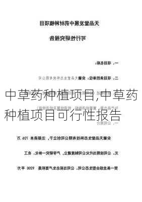 中草药种植项目,中草药种植项目可行性报告-第3张图片-花卉百科