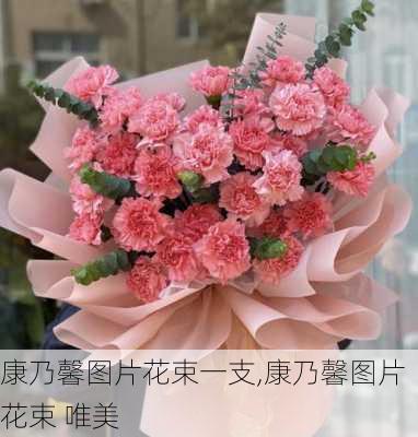 康乃馨图片花束一支,康乃馨图片花束 唯美-第3张图片-花卉百科