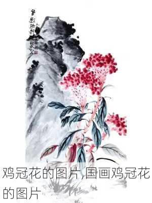 鸡冠花的图片,国画鸡冠花的图片-第2张图片-花卉百科