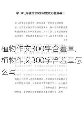 植物作文300字含羞草,植物作文300字含羞草怎么写-第3张图片-花卉百科