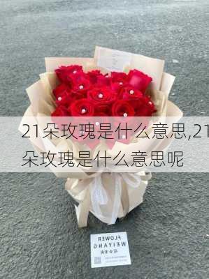 21朵玫瑰是什么意思,21朵玫瑰是什么意思呢-第1张图片-花卉百科