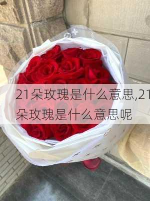 21朵玫瑰是什么意思,21朵玫瑰是什么意思呢-第2张图片-花卉百科