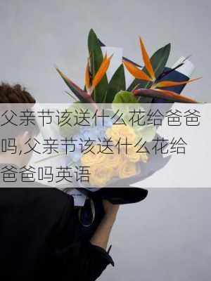 父亲节该送什么花给爸爸吗,父亲节该送什么花给爸爸吗英语