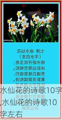 水仙花的诗歌10字,水仙花的诗歌10字左右-第2张图片-花卉百科