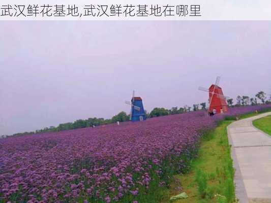 武汉鲜花基地,武汉鲜花基地在哪里