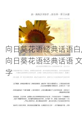 向日葵花语经典话语白,向日葵花语经典话语 文字-第2张图片-花卉百科