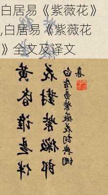 白居易《紫薇花》,白居易《紫薇花》全文及译文-第1张图片-花卉百科