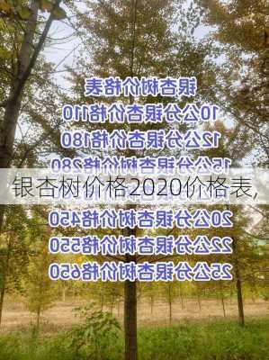 银杏树价格2020价格表,