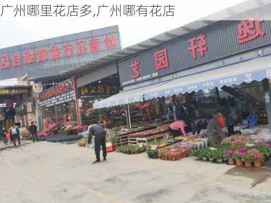 广州哪里花店多,广州哪有花店