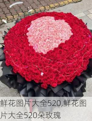 鲜花图片大全520,鲜花图片大全520朵玫瑰