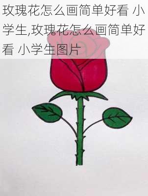 玫瑰花怎么画简单好看 小学生,玫瑰花怎么画简单好看 小学生图片