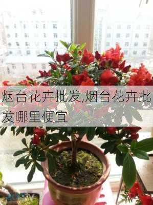 烟台花卉批发,烟台花卉批发哪里便宜