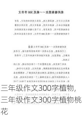 三年级作文300字植物,三年级作文300字植物桃花