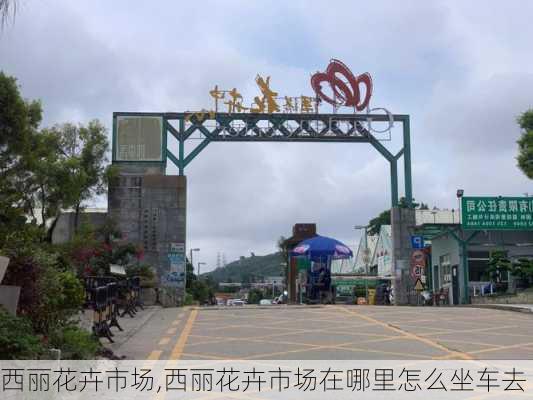 西丽花卉市场,西丽花卉市场在哪里怎么坐车去