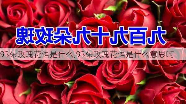 93朵玫瑰花语是什么,93朵玫瑰花语是什么意思啊-第2张图片-花卉百科