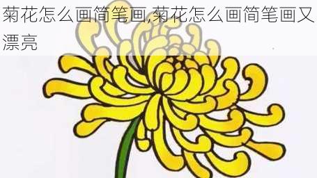 菊花怎么画简笔画,菊花怎么画简笔画又漂亮