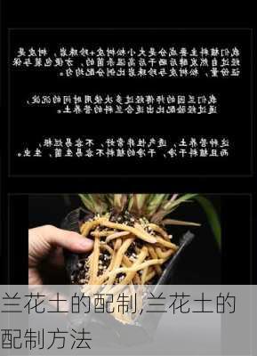 兰花土的配制,兰花土的配制方法-第1张图片-花卉百科