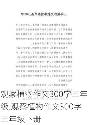 观察植物作文300字三年级,观察植物作文300字三年级下册-第1张图片-花卉百科