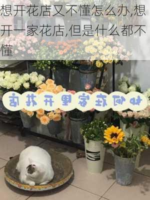 想开花店又不懂怎么办,想开一家花店,但是什么都不懂