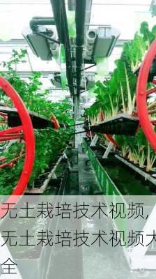 无土栽培技术视频,无土栽培技术视频大全