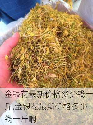 金银花最新价格多少钱一斤,金银花最新价格多少钱一斤啊-第3张图片-花卉百科