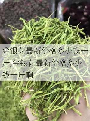 金银花最新价格多少钱一斤,金银花最新价格多少钱一斤啊-第2张图片-花卉百科