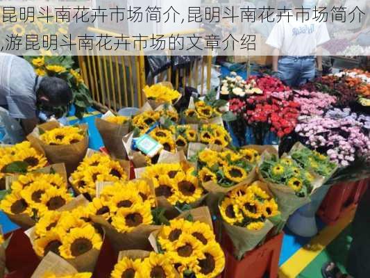 昆明斗南花卉市场简介,昆明斗南花卉市场简介,游昆明斗南花卉市场的文章介绍-第2张图片-花卉百科