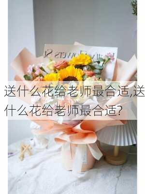 送什么花给老师最合适,送什么花给老师最合适?-第3张图片-花卉百科