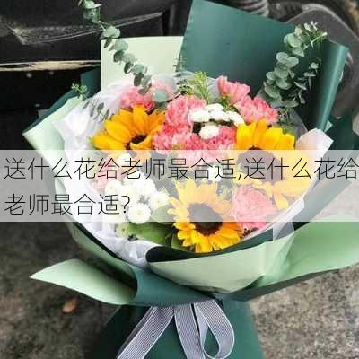 送什么花给老师最合适,送什么花给老师最合适?-第2张图片-花卉百科