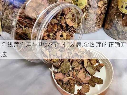 金线莲作用与功效有治什么病,金线莲的正确吃法-第3张图片-花卉百科