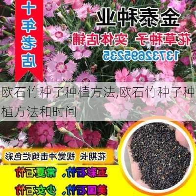 欧石竹种子种植方法,欧石竹种子种植方法和时间-第2张图片-花卉百科