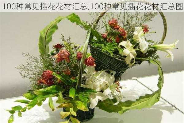 100种常见插花花材汇总,100种常见插花花材汇总图-第2张图片-花卉百科