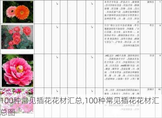 100种常见插花花材汇总,100种常见插花花材汇总图-第3张图片-花卉百科