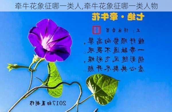 牵牛花象征哪一类人,牵牛花象征哪一类人物-第3张图片-花卉百科